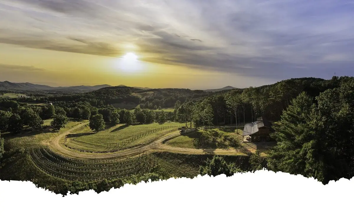 Living Water Winery Blairsville mountain views